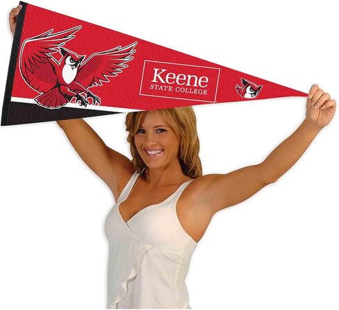 Keene State Owls Wordmark Logo Pennant Flag in Saudi Arabia