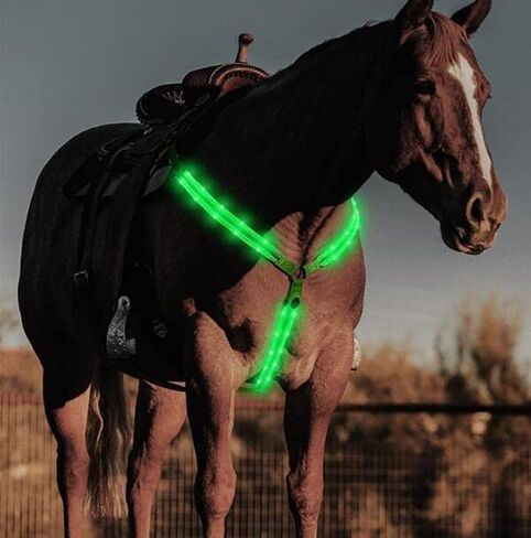 طوق صدر مضيء للخيول، 7 ألوان LED قابلة للتعديل، حزام صدر للفروسية مع USB قابل لإعادة الشحن (حزام أسود، 8 أوضاع إضاءة) in Kuwait
