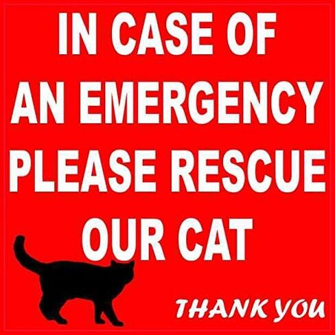 StickerTalk in Case of an Emergency Please Rescue Our Cat Vinyl Sticker, 4 inches by 4 inches in Saudi Arabia
