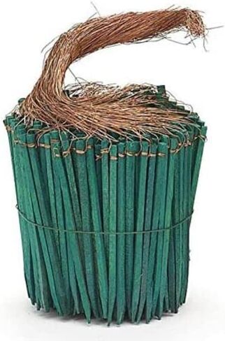 Wired Wood Picks 4" Package of 375 Picks in Green in Saudi Arabia