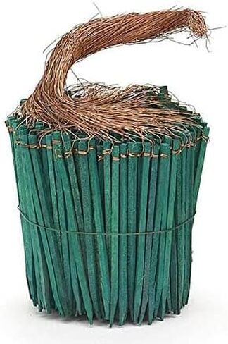 Wired Wood Picks 4" Package of 375 Picks in Green in Saudi Arabia