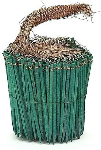 Wired Wood Picks 4" Package of 375 Picks in Green in Saudi Arabia