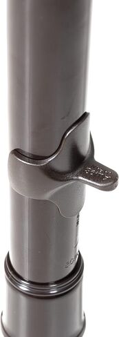 Aulos Recorder, brown (A209B) in Saudi Arabia