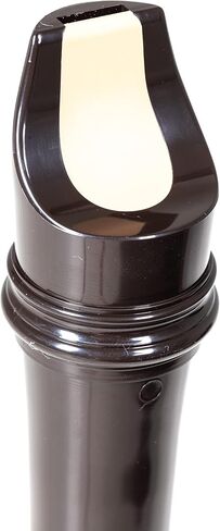 Aulos Recorder, brown (A209B) in Saudi Arabia