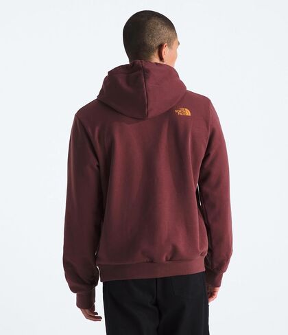 THE NORTH FACE Mens Evolution Tnf Mtn Hoodie in Saudi Arabia