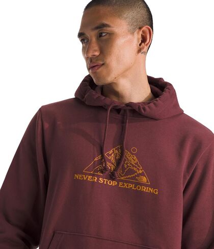 THE NORTH FACE Mens Evolution Tnf Mtn Hoodie in Saudi Arabia