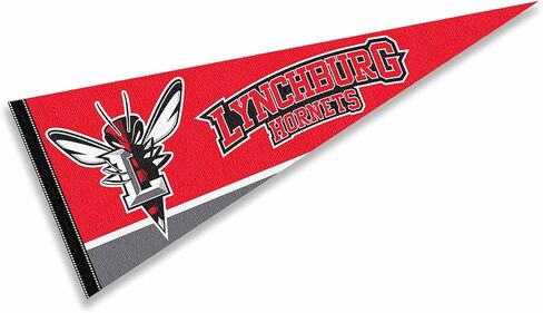 شركة College Flags & Banners Co. Lynchburg Hornets Wordmark Logo راية العلم in Saudi Arabia