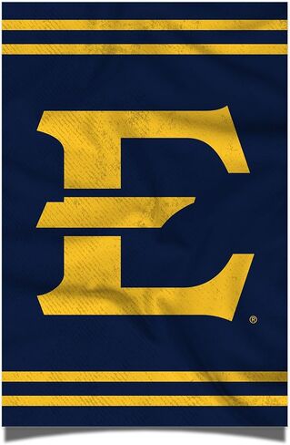 Desert Cactus East Tennessee State University Poster ETSU Buccaneers Bucs 11 x 17 Inch Room Office Décor Decoration Official Fan Gear (11x17,Version 3) in Saudi Arabia