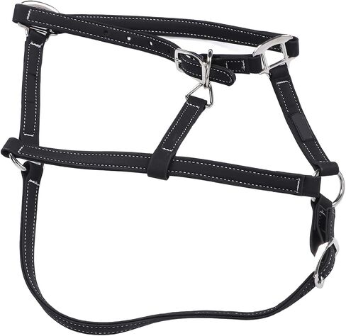 Pilipane Equestrian Bridle Horse Bridle Nylon Adjustable Headstall Harness Accessory for Horse Riding Training Gear (Medium) in Saudi Arabia