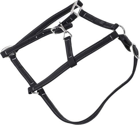 Pilipane Equestrian Bridle Horse Bridle Nylon Adjustable Headstall Harness Accessory for Horse Riding Training Gear (Medium) in Saudi Arabia