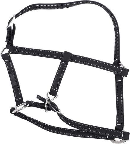 Pilipane Equestrian Bridle Horse Bridle Nylon Adjustable Headstall Harness Accessory for Horse Riding Training Gear (Medium) in Saudi Arabia