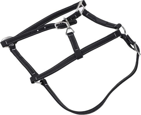 Pilipane Equestrian Bridle Horse Bridle Nylon Adjustable Headstall Harness Accessory for Horse Riding Training Gear (Medium) in Saudi Arabia