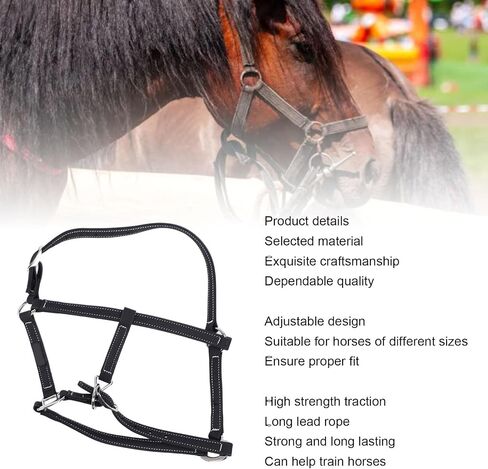 Pilipane Equestrian Bridle Horse Bridle Nylon Adjustable Headstall Harness Accessory for Horse Riding Training Gear (Medium) in Saudi Arabia
