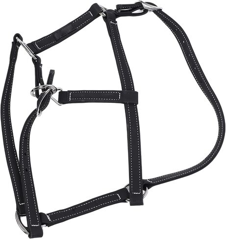 Pilipane Equestrian Bridle Horse Bridle Nylon Adjustable Headstall Harness Accessory for Horse Riding Training Gear (Medium) in Saudi Arabia