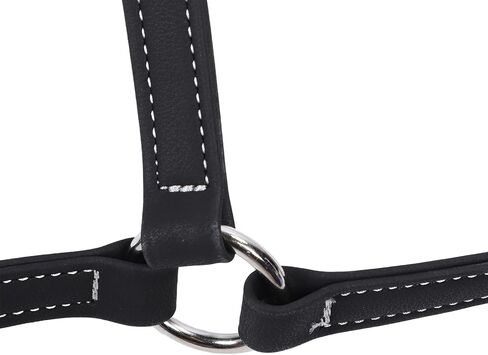 Pilipane Equestrian Bridle Horse Bridle Nylon Adjustable Headstall Harness Accessory for Horse Riding Training Gear (Medium) in Saudi Arabia