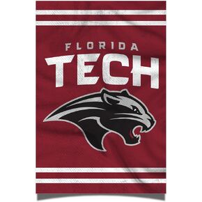 Desert Cactus Florida Institute of Technology Poster Panthers Tech 11 x 17 Inch Room Office Décor Decoration Official Fan Gear (11x17,Version 3) in Kuwait