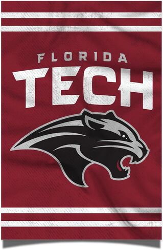 Desert Cactus Florida Institute of Technology Poster Panthers Tech 11 x 17 Inch Room Office Décor Decoration Official Fan Gear (11x17,Version 3) in Saudi Arabia