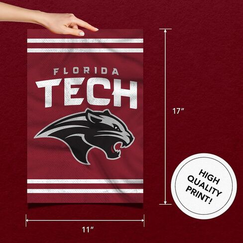 Desert Cactus Florida Institute of Technology Poster Panthers Tech 11 x 17 Inch Room Office Décor Decoration Official Fan Gear (11x17,Version 3) in Saudi Arabia