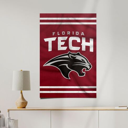 Desert Cactus Florida Institute of Technology Poster Panthers Tech 11 x 17 Inch Room Office Décor Decoration Official Fan Gear (11x17,Version 3) in Saudi Arabia