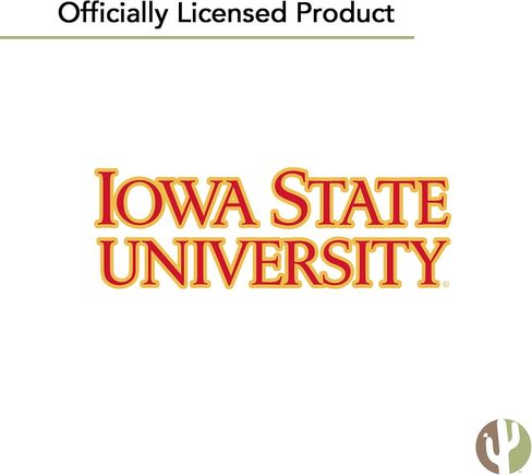 Desert Cactus Iowa State University Car Accessories ISU Cyclones Absorbent Sandstone Cup Coasters Licensed Product Set of 2 (Design A) in Saudi Arabia