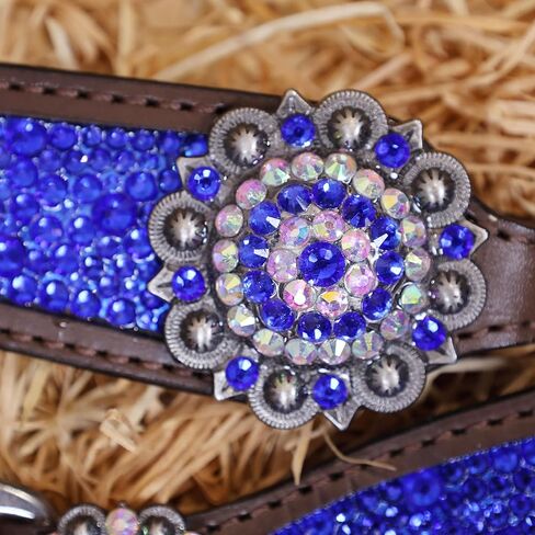 Western Headstall & Breast Collar Tack Set – Gladiator Style with Clyster Stones & Leather Fringe | Genuine Argentine Cow Leather | Antique Nickel Hardware in Kuwait