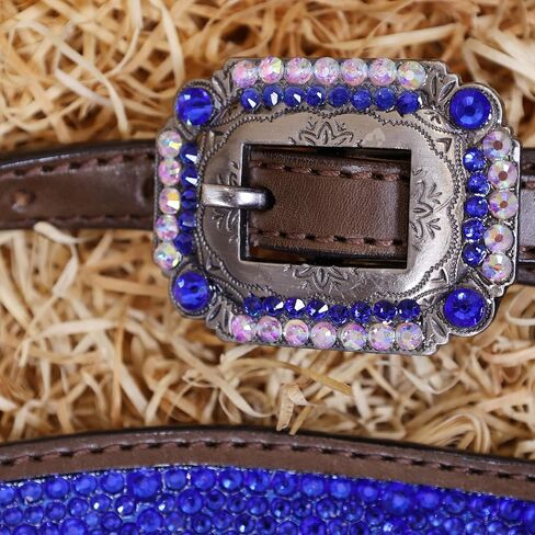Western Headstall & Breast Collar Tack Set – Gladiator Style with Clyster Stones & Leather Fringe | Genuine Argentine Cow Leather | Antique Nickel Hardware in Kuwait