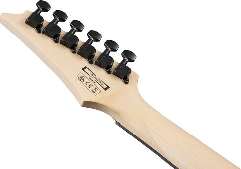 جيتار كهربائي Ibanez GRGA120QA RGA Gio - حزمة أشعة الشمس السوداء الشفافة مع مكبر للصوت، وحقيبة الحفلة، والموالف، وكابل الآلة، واللقطات، وأقراص DVD التعليمية لأوستن بازار، وقماش تلميع in Saudi Arabia