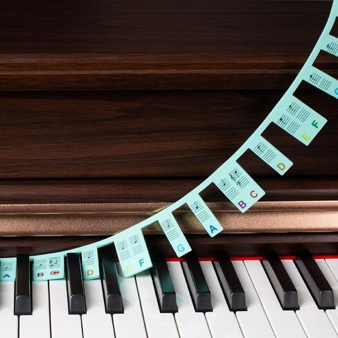 ZHRUNS Removable Piano Key Stickers - 61 Key Glow-in-The-Dark Keyboard Labels for Beginners, Silicone Note Stickers with Storage Box (Pink) in Saudi Arabia