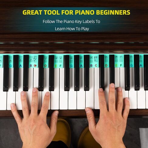 ZHRUNS Removable Piano Key Stickers - 61 Key Glow-in-The-Dark Keyboard Labels for Beginners, Silicone Note Stickers with Storage Box (Pink) in Saudi Arabia