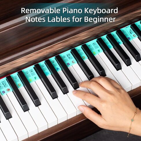 ZHRUNS Removable Piano Key Stickers - 61 Key Glow-in-The-Dark Keyboard Labels for Beginners, Silicone Note Stickers with Storage Box (Pink) in Saudi Arabia