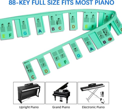 ZHRUNS Removable Piano Key Stickers - 61 Key Glow-in-The-Dark Keyboard Labels for Beginners, Silicone Note Stickers with Storage Box (Pink) in Saudi Arabia
