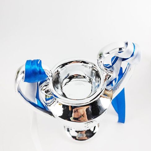 Champions Trophy，Resin Craft Champions Trophy Copy, Fan Collectibles and Birthday Gifts, Indoor Bedroom Decoration (6 inch) in Saudi Arabia