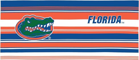 Tervis Florida Gators - كوب سفر معزول بجدار مزدوج مصنوع في الولايات المتحدة الأمريكية، يحافظ على المشروبات باردة وساخنة، 16oz 4pk، كلاسيكي in Saudi Arabia