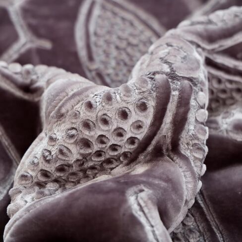 Heavy White Tiger Queen Size Blanket - Warm Plush Thick Korean Mink Fleece Raschel No-Lints, Cozy Valentine's San Marcos Winter, Microfiber Fluffy Mexican for Adults in Kuwait