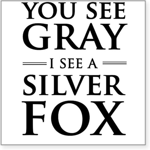 ملصق CafePress You See Grey، I See A Silver Fox ملصق مربع ممتص الصدمات للسيارة in Saudi Arabia