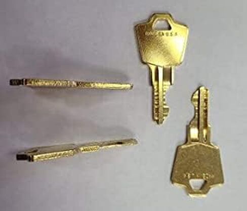 Bruno Out-Sider Scooter Lift Replacement Key: Fits ASL-250, A, B, HTP, MWD in Saudi Arabia