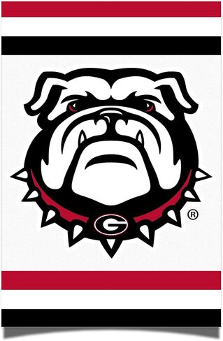 ملصق جامعة صبار الصحراء بجورجيا UGA Bulldogs مقاس 11 × 17 بوصة ديكور غرفة المكتب والعتاد الرسمي (11 × 17 بوصة، كلاسيكي B) in Saudi Arabia