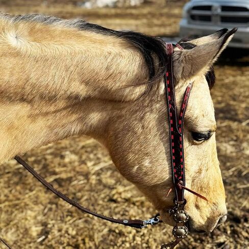 Ranch Hand Headstall - Handcrafted Leather Bridle for Horses in Saudi Arabia