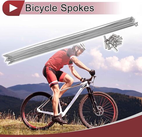 12 Set 14G Bicycle Spokes 305mm Bike Wheel Spokes 304 Stainless Steel Silver Tone in Saudi Arabia