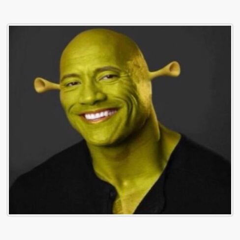 Dwayne 'The Shrok Johnson Sticker Vinyl Waterproof Sticker Decal Car Laptop Wall Window Bumper Sticker 5" in Saudi Arabia