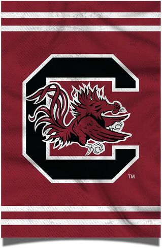 ملصق جامعة كاليفورنيا الجنوبية لصبار الصحراء Gamecocks USC مقاس 11 × 17 بوصة ديكور غرفة المكتب ومعدات المعجبين الرسمية (11 × 17، الإصدار 3) in Saudi Arabia