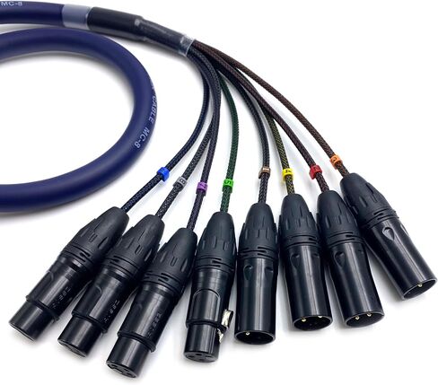 1 متر DB25 ذكر إلى 8 قنوات XLR 3Pin كابل ثعبان متوازن، 4 ذكر و4 أنثى، DB25 إلى XLR ثعبان كابل تصحيح واجهة الخليج سلك معياري عالي الدرع سلك PVC صوت تناظري 3.28 قدم in Saudi Arabia