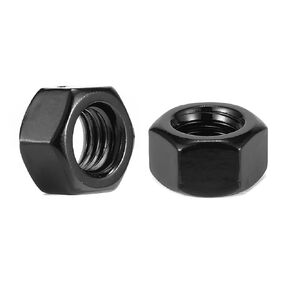 1/4-20 Hex Nuts 100Pcs 304 Stainless Steel 18-8, Full Thread, Hex Drive, Bright Finish, Black Oxide by SG TZH