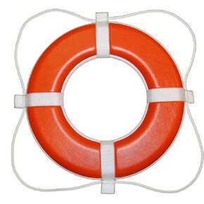 TAYLOR MADE PRODUCTS Vinyl Life Ring for Boating Safety,Orange