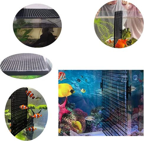 3 قطع من البلاستيك شبكة قفص مقسم لوحة البلاستيك صريف البيض قفص البلاستيك شبكة مقسم صينية البيض قفص اللوفر حوض للأسماك أسفل العزلة in Kuwait