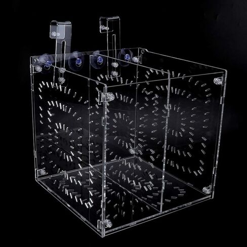 Fish Breeding Box Acrylic Fish Isolation Box Fish Seedlings Incubator Aquarium Fish Breeder Box with Isolation Board for Baby Fishes Shrimp Clownfish and Guppy(20MC *20CM*20CM) in Saudi Arabia