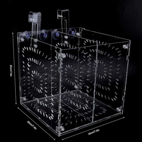 Fish Breeding Box Acrylic Fish Isolation Box Fish Seedlings Incubator Aquarium Fish Breeder Box with Isolation Board for Baby Fishes Shrimp Clownfish and Guppy(20MC *20CM*20CM) in Saudi Arabia