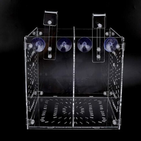 Fish Breeding Box Acrylic Fish Isolation Box Fish Seedlings Incubator Aquarium Fish Breeder Box with Isolation Board for Baby Fishes Shrimp Clownfish and Guppy(20MC *20CM*20CM) in Saudi Arabia