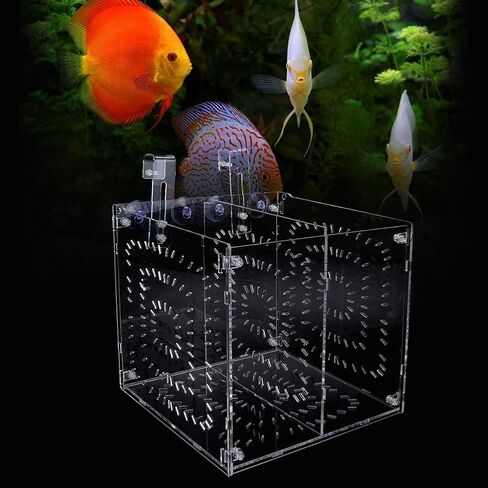 Fish Breeding Box Acrylic Fish Isolation Box Fish Seedlings Incubator Aquarium Fish Breeder Box with Isolation Board for Baby Fishes Shrimp Clownfish and Guppy(20MC *20CM*20CM) in Saudi Arabia