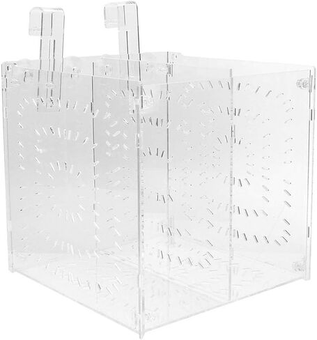 Fish Breeding Box Acrylic Fish Isolation Box Fish Seedlings Incubator Aquarium Fish Breeder Box with Isolation Board for Baby Fishes Shrimp Clownfish and Guppy(20MC *20CM*20CM) in Saudi Arabia